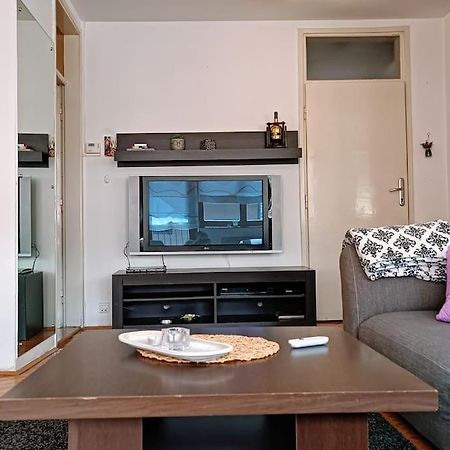 Spacious Condo Near Bascarsija - Free Parking SJJ Exteriör bild